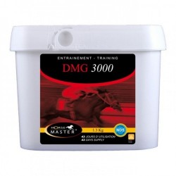 DMG 3000 1.2 kg.