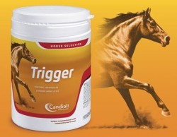 Trigger HORSE 1kg