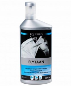 Elytaan Equistro 1Lt